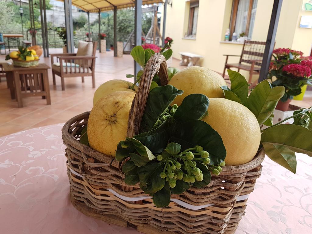 Agriturismo Al Nido Degli Aironi Sanremo Ngoại thất bức ảnh
