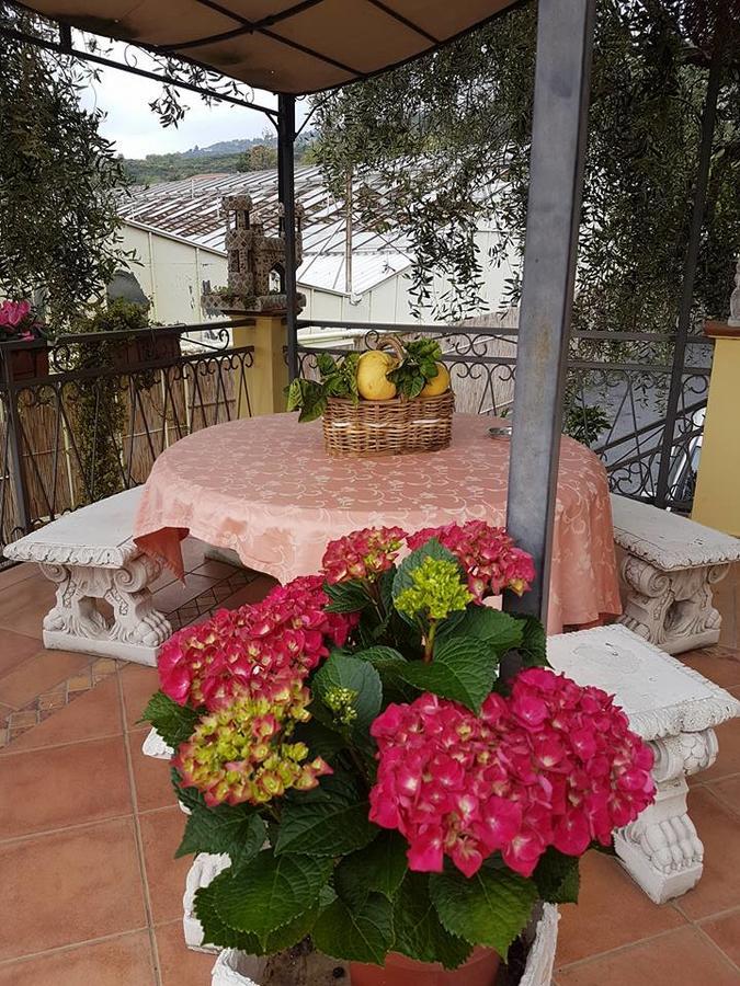 Agriturismo Al Nido Degli Aironi Sanremo Ngoại thất bức ảnh