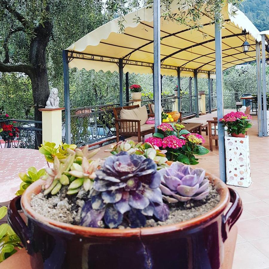 Agriturismo Al Nido Degli Aironi Sanremo Ngoại thất bức ảnh